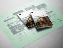 KODAK SONORA ULTRA - płyta bezprocesowa